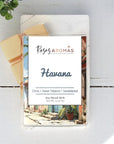 Wax Melt - Havana
